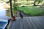P_2007-12-18 16-03-12_1155